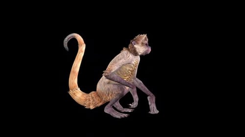 Nettoyant pour jambes Wild Monkey