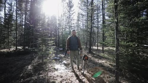Millennial man and dog enjoy sunny woods hike exploration adventure together