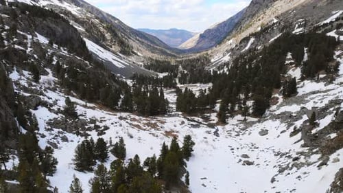Snowy Valley Panning Across Mountain Range with Pine Trees Media