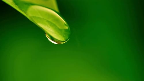 Water Drop Falling