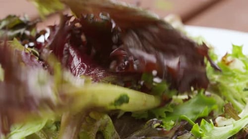Close Up of Mixed Green Salad on Plate