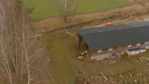Barn Fields Rural Scene Farm Simplicity