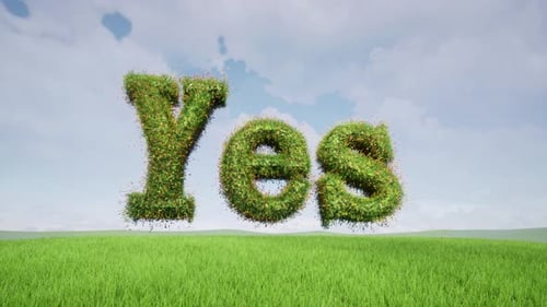 Flowers Grow on the Text YES Natural Green Landscape