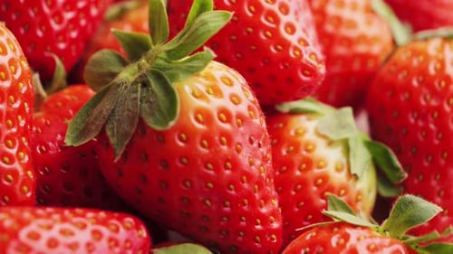 Close Up of Ripe Red Strawberries