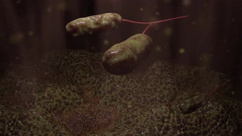 Microscopic Bacteria Moving on Biological Surface Animation