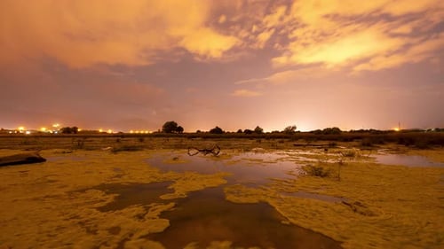 Algae-Filled Pond During a Colorful Sunset