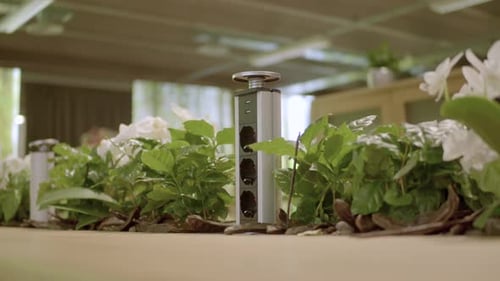 Pop Up Outlet with USB Ports Surrounded by Plants