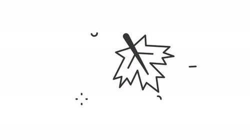 maple leaf fall animation icon illustration motion graphic design video