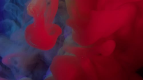 Swirling Red Blue and Yellow Ink Droplets