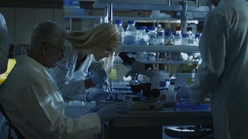Researchers Working in a Modern Science Laboratory