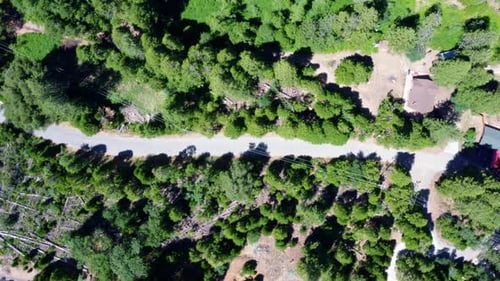 Beautiful bird's eye top aerial drone shot of a small forest road near Bass Lake in Northern Califor