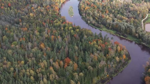 Flying forward, a drone glides over a vibrant fall forest as a curving river reflects the changing f