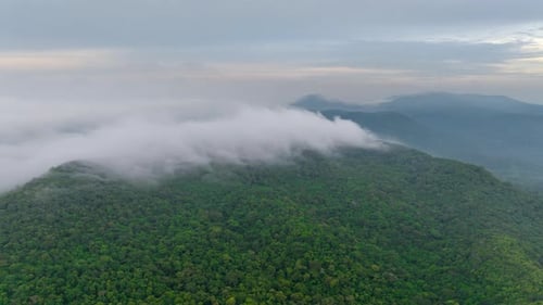 Beautiful aerial view of the valley landscape in the morning.