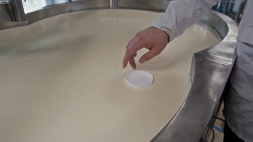 La main d'un fromager teste l'épaisseur du lait chauffé acidifié dans une cuve