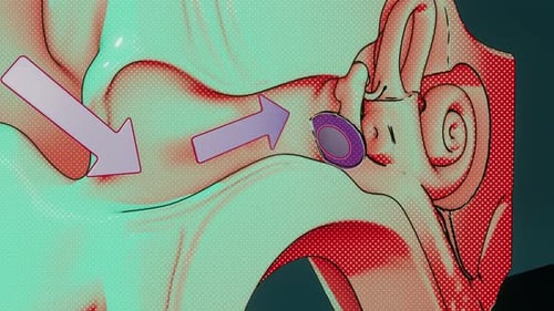 Animated Human Ear Anatomy Explaining Sound Wave Transmission