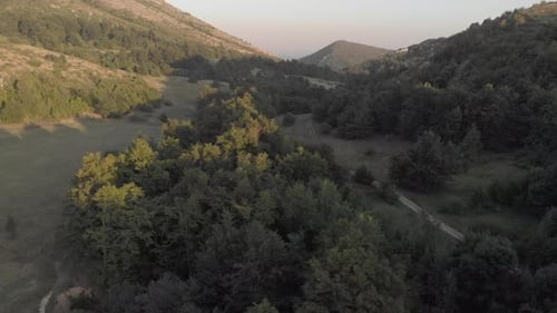 Flight over the mountain landscape of the forest