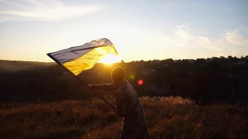 Adult Holding Flag Waving in Rural Field at Sunset
