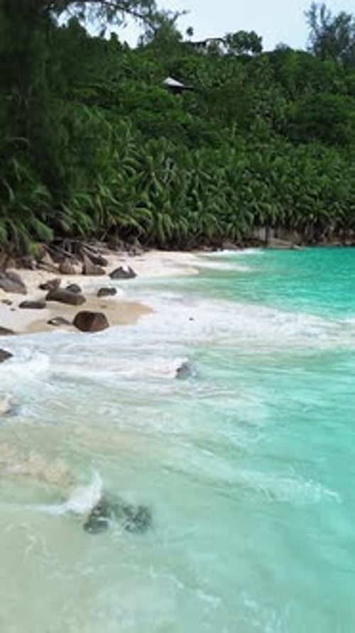 Seychelles Beach and Palm Trees From a Bird's Eye View