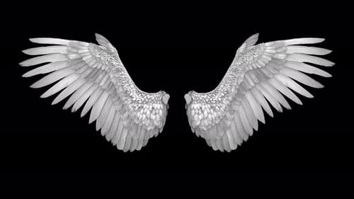 Majestic White Angel Wings Feathers Flight Sky Freedom Peace Heaven Divine Grace Purity Spiritual