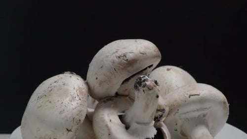 Tilt Down, Common Button Mushrooms on White Plate with Black Background