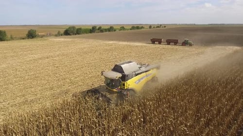 Aerial Shot Of Combine Harvester In Corn Field