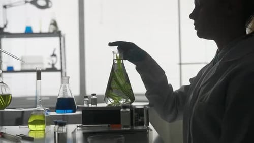 A Plant in a Flask for an Experiment Close Up The Woman Scientist Takes the Flask Examines the Plant