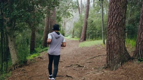 Young Adult Jogging on Forest Trail