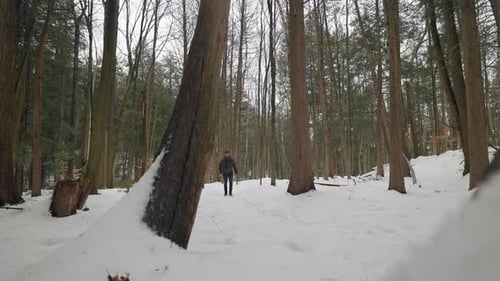 Static shot of Hiker in Snow Covered Winter Forest Walking towards camera. Active Youthful Male Adve