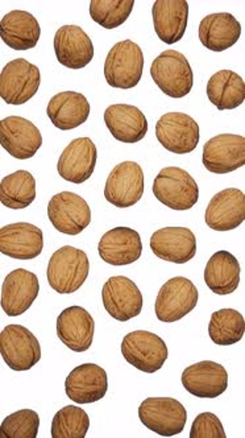 Falling Walnuts Dynamic Background Loop