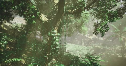 Lush Green Jungle Forest Background with Fog and Trees