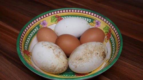 Comparing Large Goose Eggs and Fresh Chicken Eggs in a Decorative Bowl