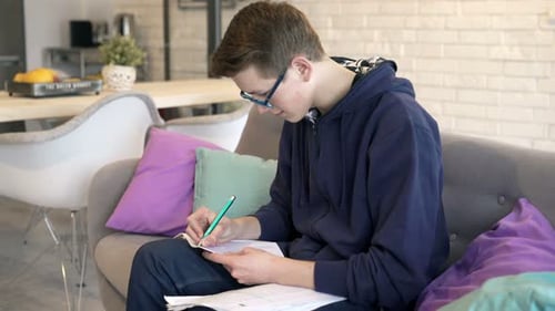 Teenage boy studying and writing notes at home on sofa for school homework