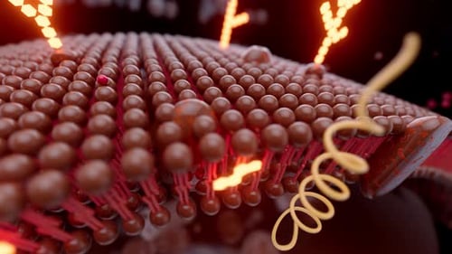 Cell Membrane Molecular Interaction and Energy Transfer Animation