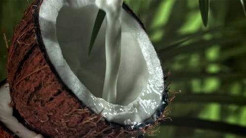 Milk is Poured Into Half a Coconut with a Splash Filmed on a Highspeed Camera at 1000 Fps