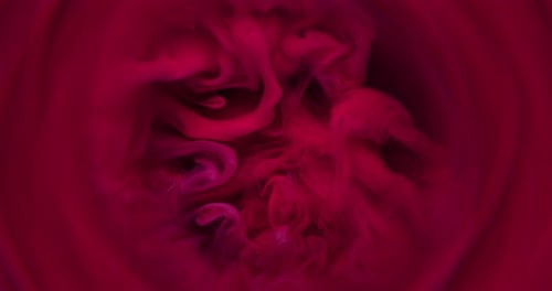 Abstract Red and Pink Ink Swirling Fluidly