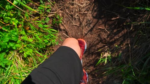 Closeup of Man Walking Along Path with Green Grass Clip Man in Sports Sneakers Walks Along Mountain