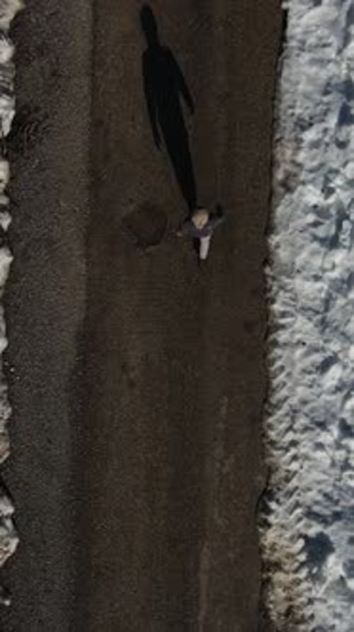 Walking Man in Snowy Asphalt
