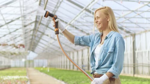 Woman Gardening, Watering Plants in Greenhouse