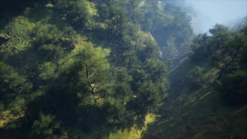 Carpathian Mountains Moody Weather Landscape