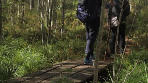 Mountain hikers walking in a forest on a trail sunny autumn summer atmosphere leather bag on a shoul