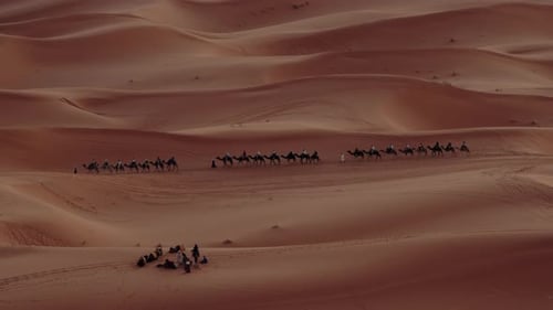 Randonnée en caravane de chameaux dans le majestueux désert du Sahara au Maroc