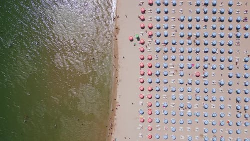Drone Video Capturing a Topdown View of a Beach with Rows of Colorful Umbrellas Lined Up Perfectly