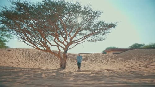 Una figura solitaria caminando por las arenas del desierto