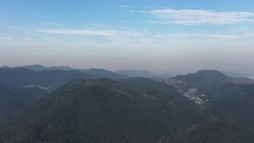 Tea plantation in mountain