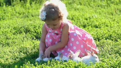 A 23Yearold Girl Plays with a White Fluffy Rabbit on Green Grass
