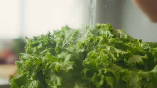 Water splashing over romaine lettuce in the kitchen sink