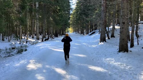 A Girl on a Sunny Winter Day Walks Through a Snowy Forest with Large Trees