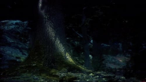 Tree Roots and Sunshine in a Green Forest