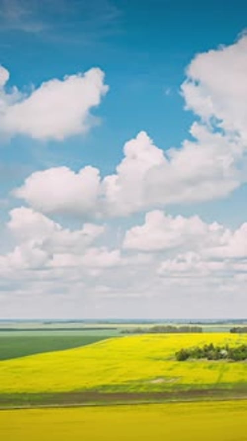Aerial View Of Agricultural Landscape