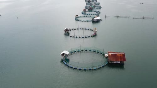 Fishing Industry